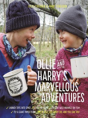 cover image of Ollie and Harry's Marvellous Adventures (International Edition)
